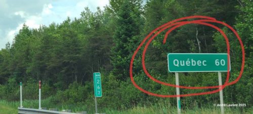 20250701_151412 (Medium)