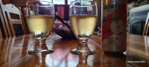 20250701_184042 (Medium)