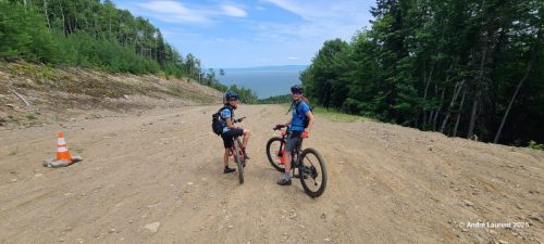 20250705_140602 (Medium)