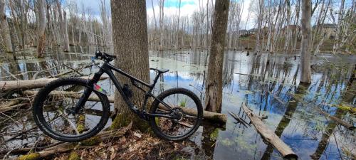 Jefferson Forest - Trillium ride