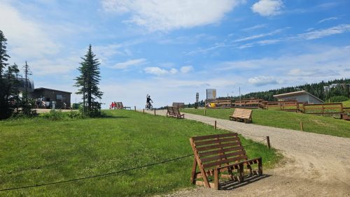 20250705 111312-Medium