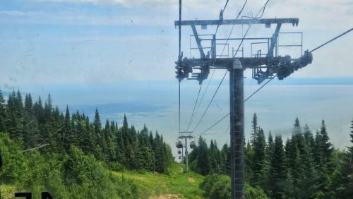 20250705 123039-Medium