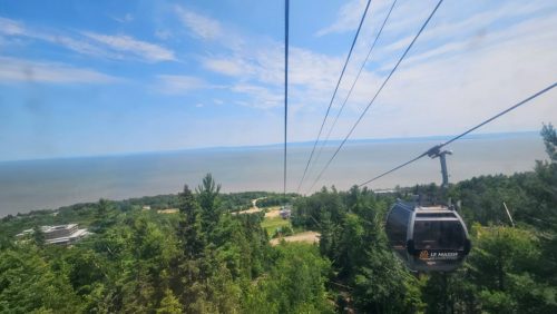 20250705 131019-Medium