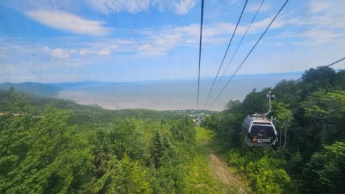 20250705 131633-Medium