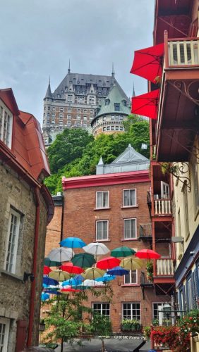 20250706 110553-Medium