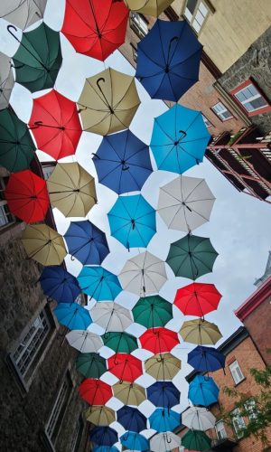 20250706 110640-Medium