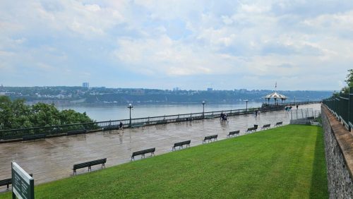 20250706 130537-Medium