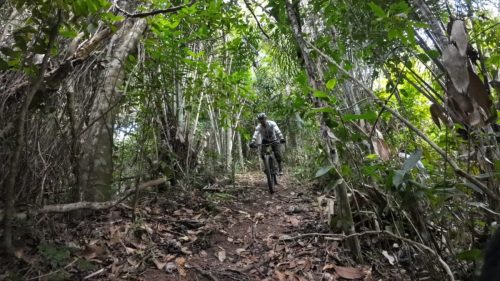 DJI 20251226103321 0036 D A01